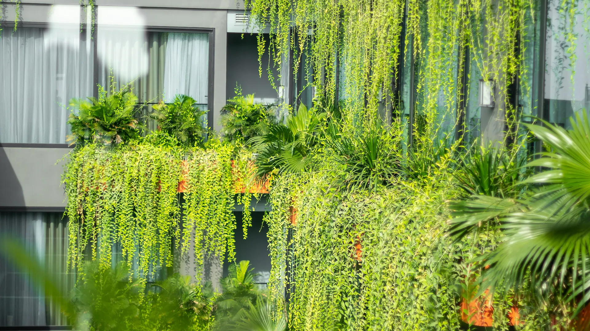 Chi House Danang Hotel And Apartment  Da Nang